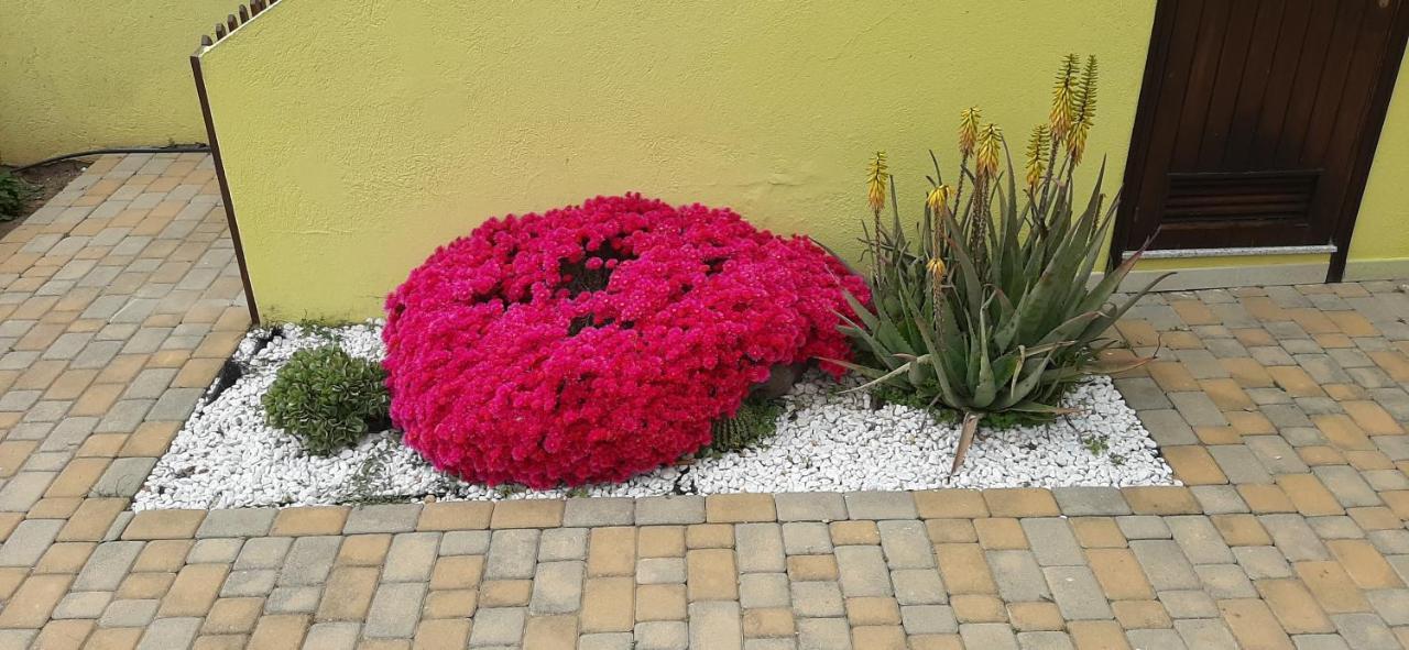 Apartmán Nonna Defenza Teulada Exteriér fotografie